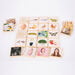 Wooden Life Cycle Tiles 24pk  hi\-res