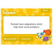 TTS Can You Convince Me? \- Science Activity Cards Year 5  hi\-res