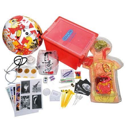Healthy Living PSHE Activity Set  hi\-res