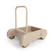 Dantoy Tiny Baby Walker  hi\-res