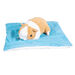 Vibrating Weighted Lap Buddy \- Guinea Pig  hi\-res