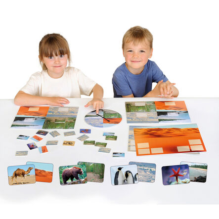 Animal Habitats Sorting Game  hi\-res