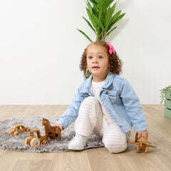TTS Small World Wooden Vehicles - Plane, Tractor, Car & Heli 4pk  hi-res