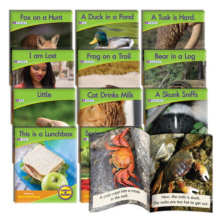 Letters \x26 Sounds Phonic Readers 12pk Phase 4 Non Fiction  hi\-res