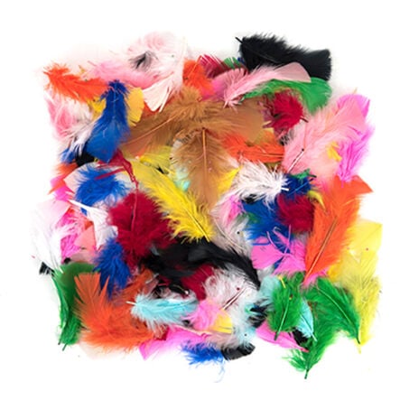 Brightly Coloured Feathers 28g  hi\-res