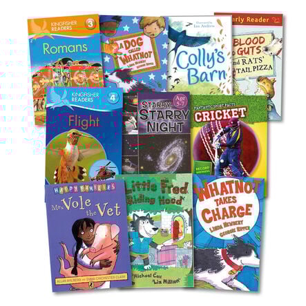 Level 10 White Book Band Booster Books 10pk  hi\-res