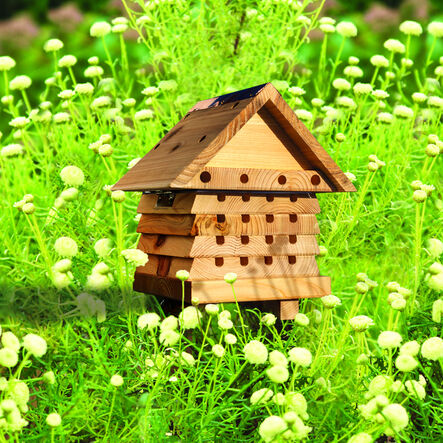 Solitary Bee flip Top Hive  hi\-res