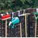Outdoor Metal Hanging Hooks 6pk  hi\-res