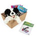 TTS Griff The Wellbeing Dog Puppet and Book Collection  hi\-res