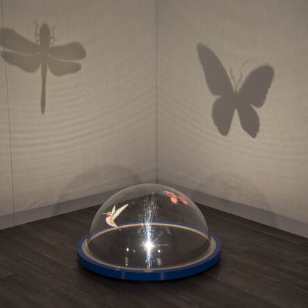 TTS Early Years Immersive Projector  hi\-res