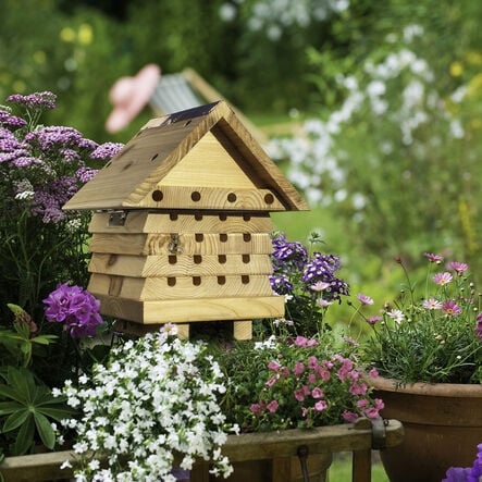 Solitary Bee flip Top Hive  hi\-res