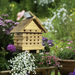 Solitary Bee flip Top Hive  hi\-res