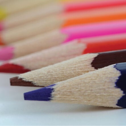 Budget Essentials Colouring Pencils Assorted  hi\-res