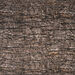 Learn about Nature Tree Log Cushion  hi\-res