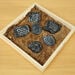 Sensory Fossil Replica Set 6pcs  hi\-res