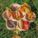 Natural Flower Sorting Tray  hi\-res