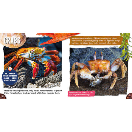 Seaside Topic Book Pack 10pk  hi\-res