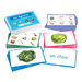 TTS French Months \x26 Seasons Vocabulary Activity Cards  hi\-res