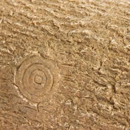 Yellow Door Small World Play Habitats Bundle  hi\-res