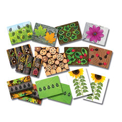 Ladybird Counters and Cards  hi-res