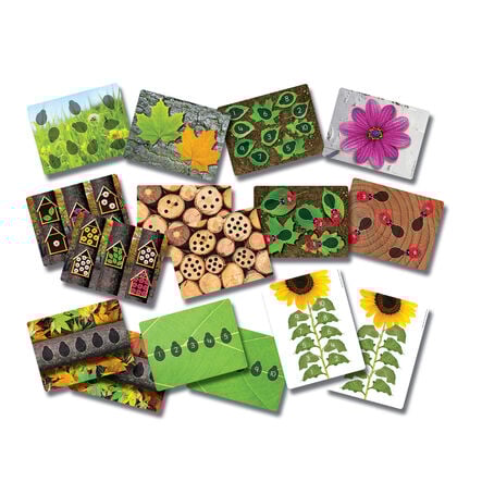 Ladybird Counters and Cards  hi\-res