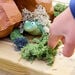 Terrific Talking Frogs  hi\-res