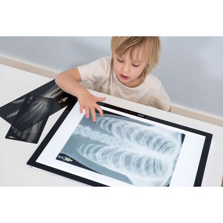 Ultra\-Bright LED Light Panel A3  hi\-res