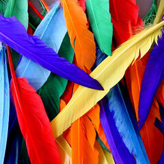 Quill Feathers Assorted 25pk  Quill Feathers Assorted 25pk  hi-res