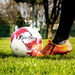 Precision Fusion IMS Training Football  hi\-res