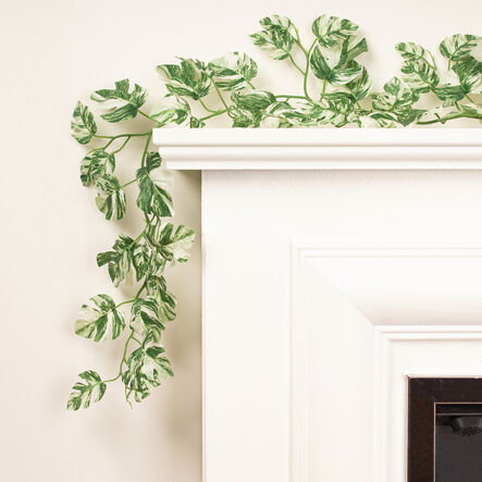 Variegated Monstera Plant Garland 190cm  hi\-res