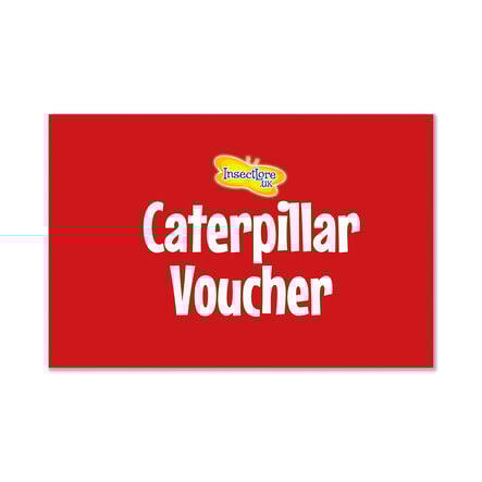 Refill Caterpillars for Butterfly Kits 3\-5pk  hi\-res