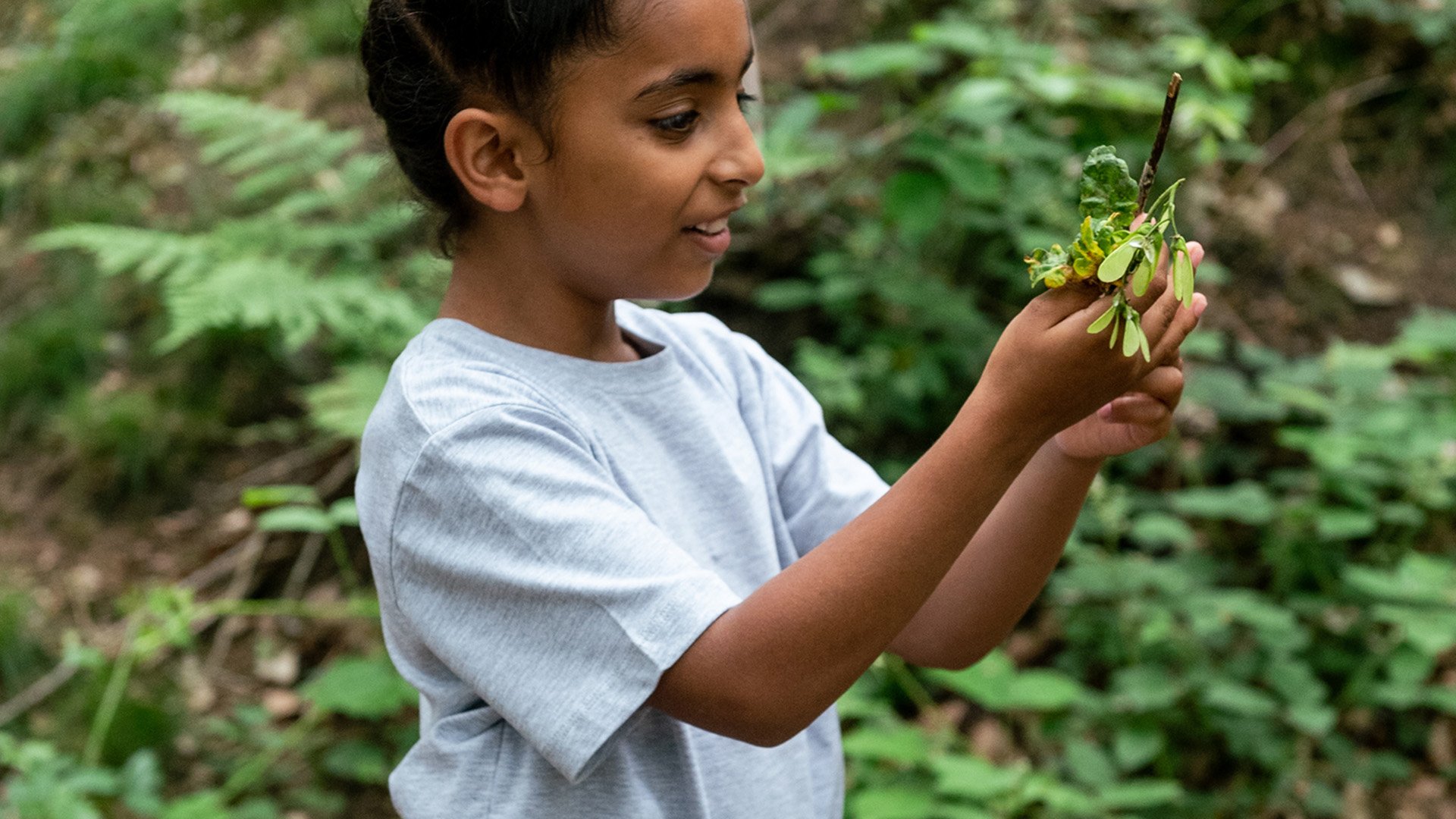 11 outdoor learning activities and ideas across the curriculum