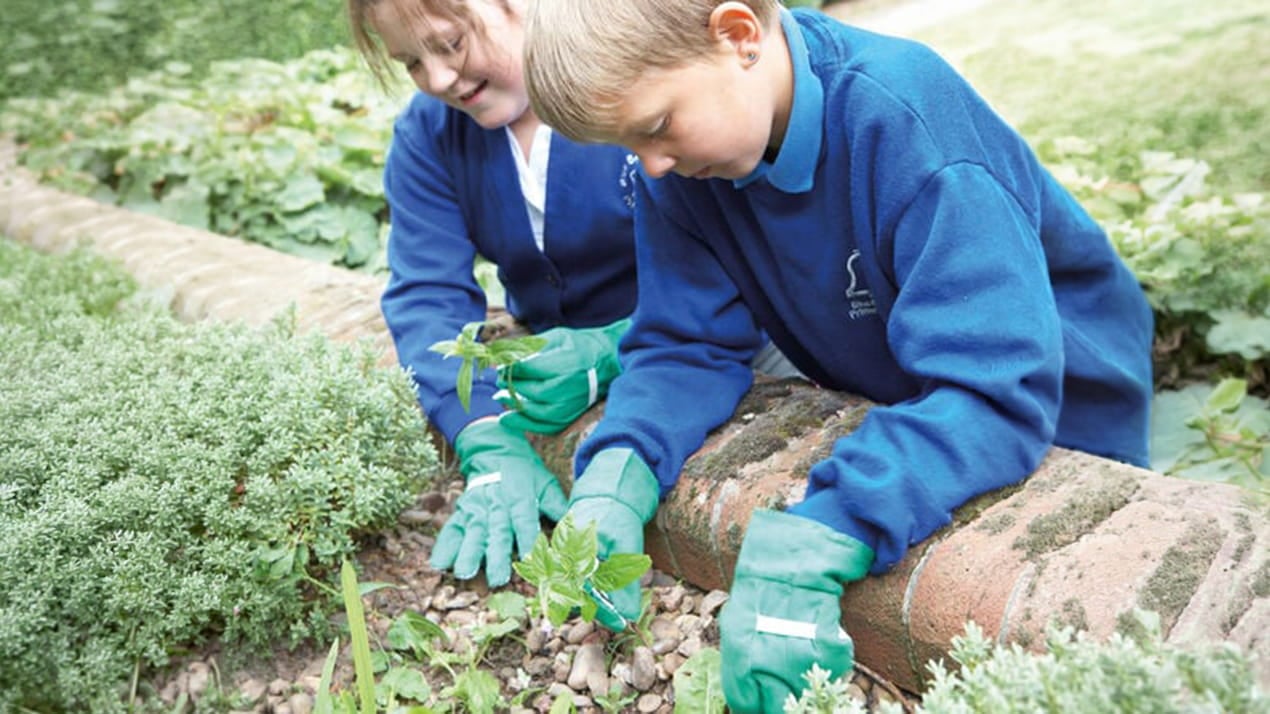 National Education Nature Park Funding: What you need to know