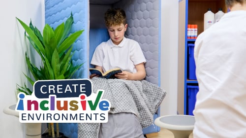 Secondary Inclusive Environments