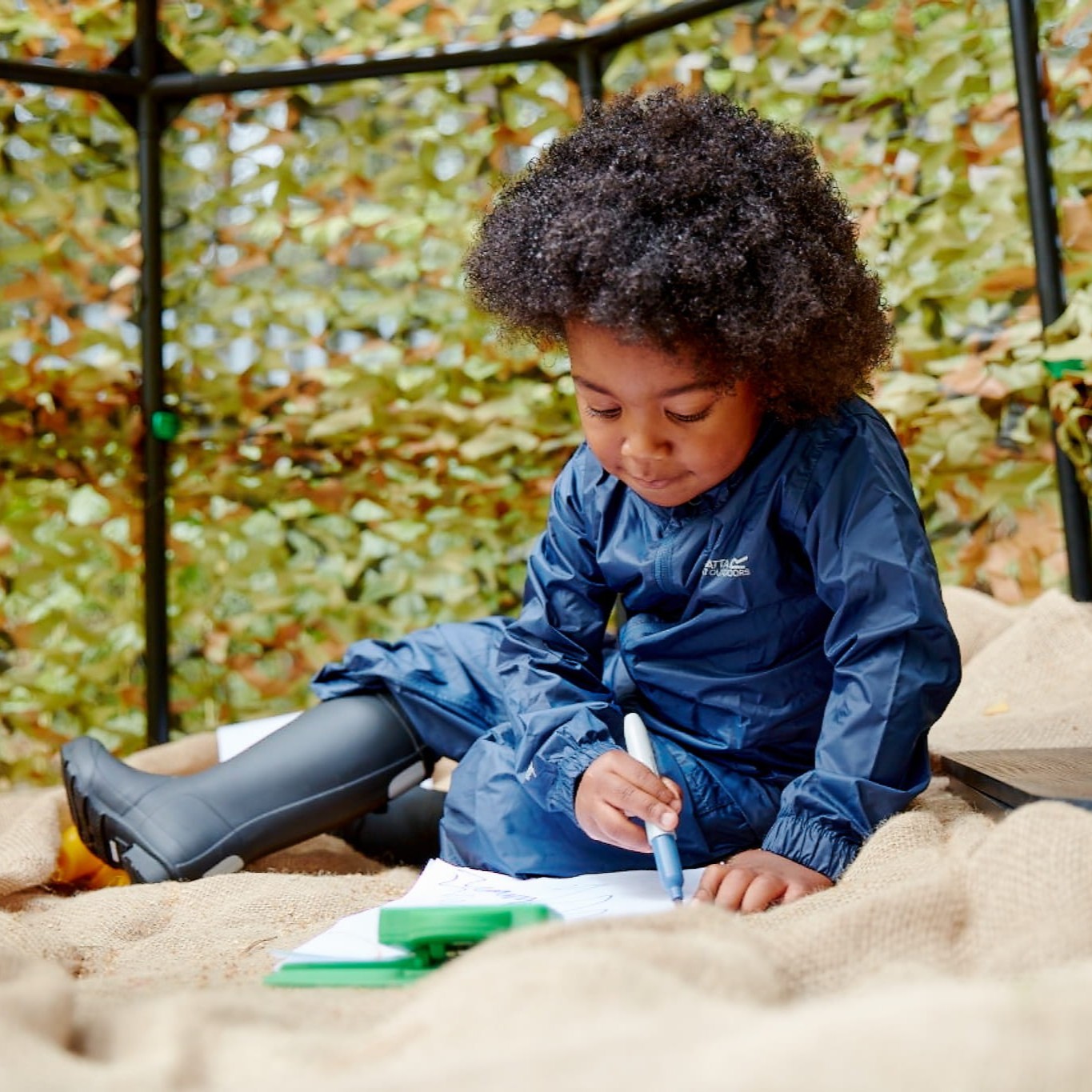 Declaration of Conformity