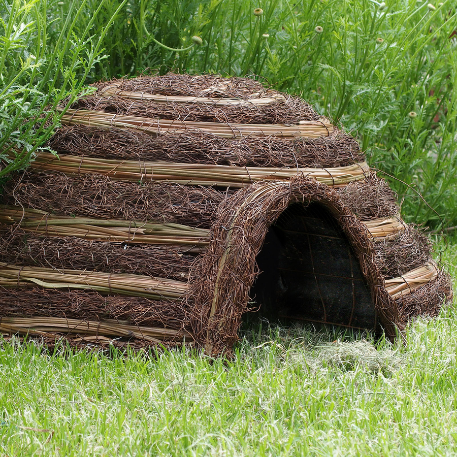 Hedgehog House  hi-res