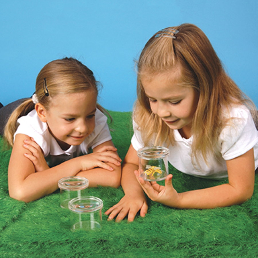 Insect Bug Viewer Pots 3pk  hi-res