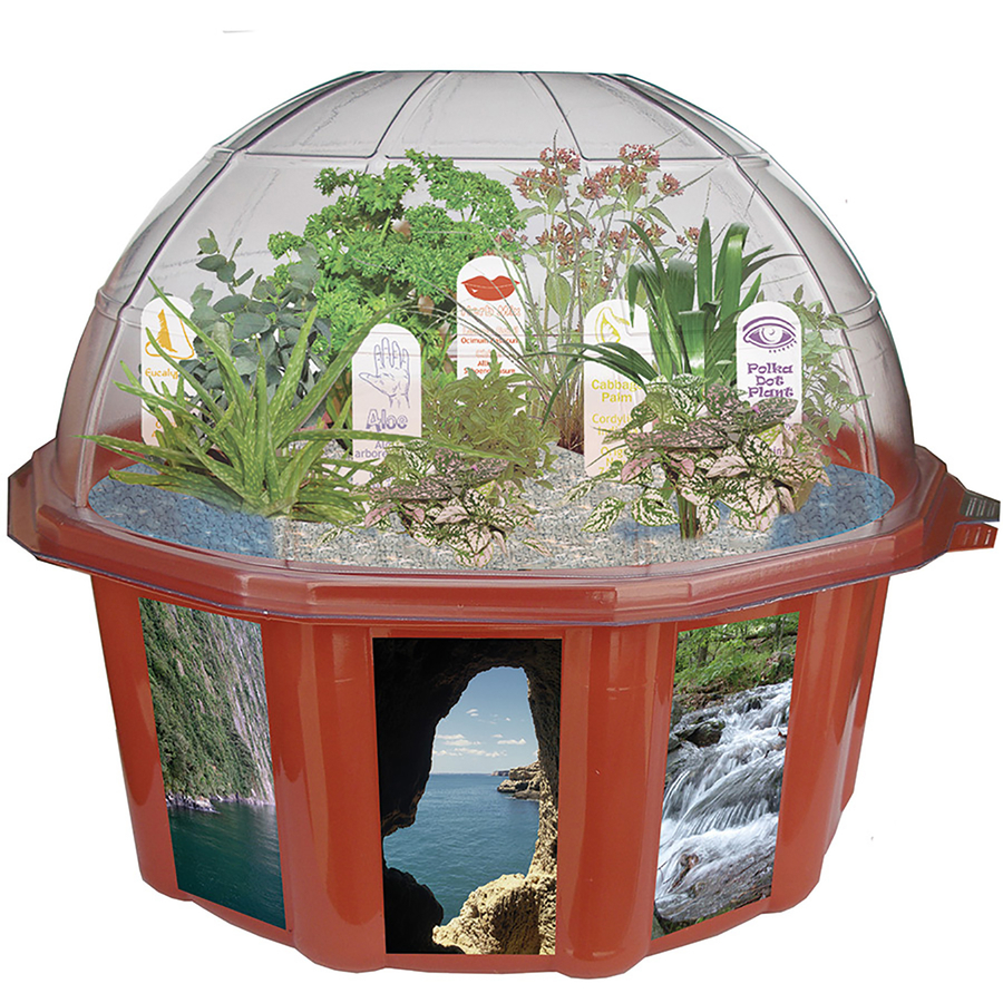 Sensory Garden Dome Planter  hi-res