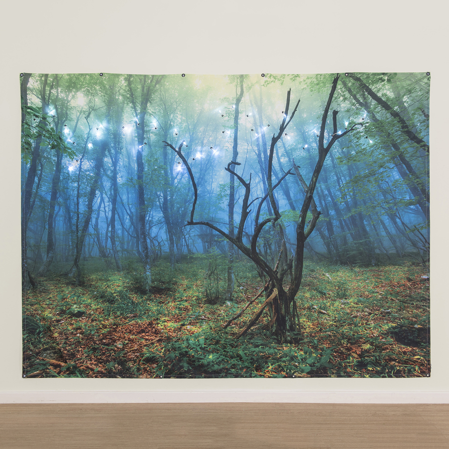 TTS Immersive Environment Backdrop Enchanted Forest  hi-res