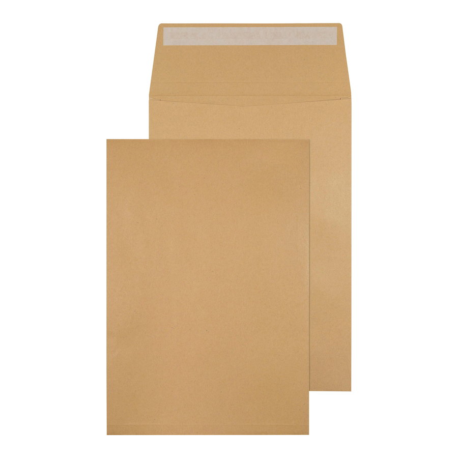 C4 Gusset Envelopes 125pk  hi-res