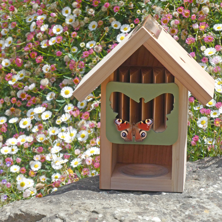Butterfly House  hi-res