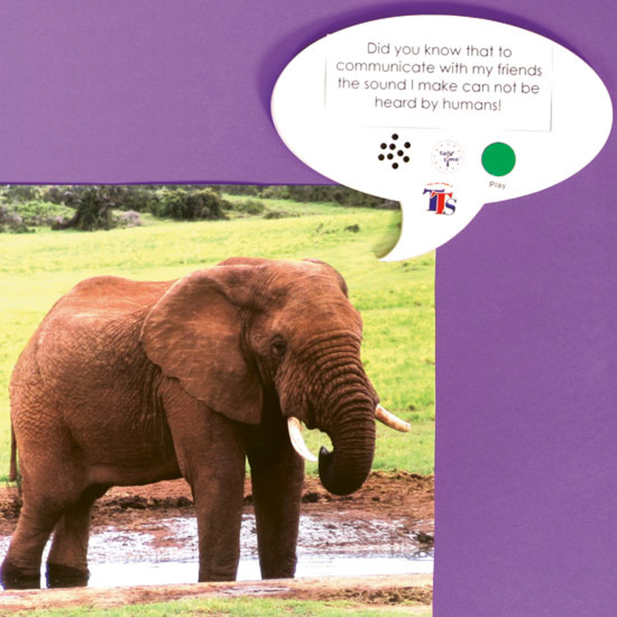 Talk-time A5 Recordable Speech Bubble  hi-res