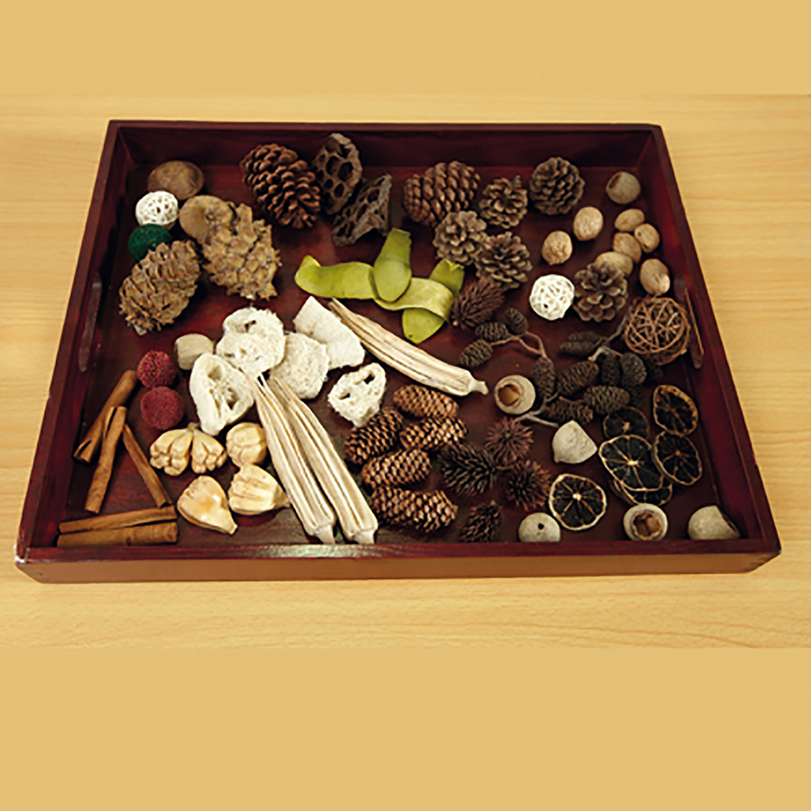 Natural Wooden Sorting Tray  hi-res