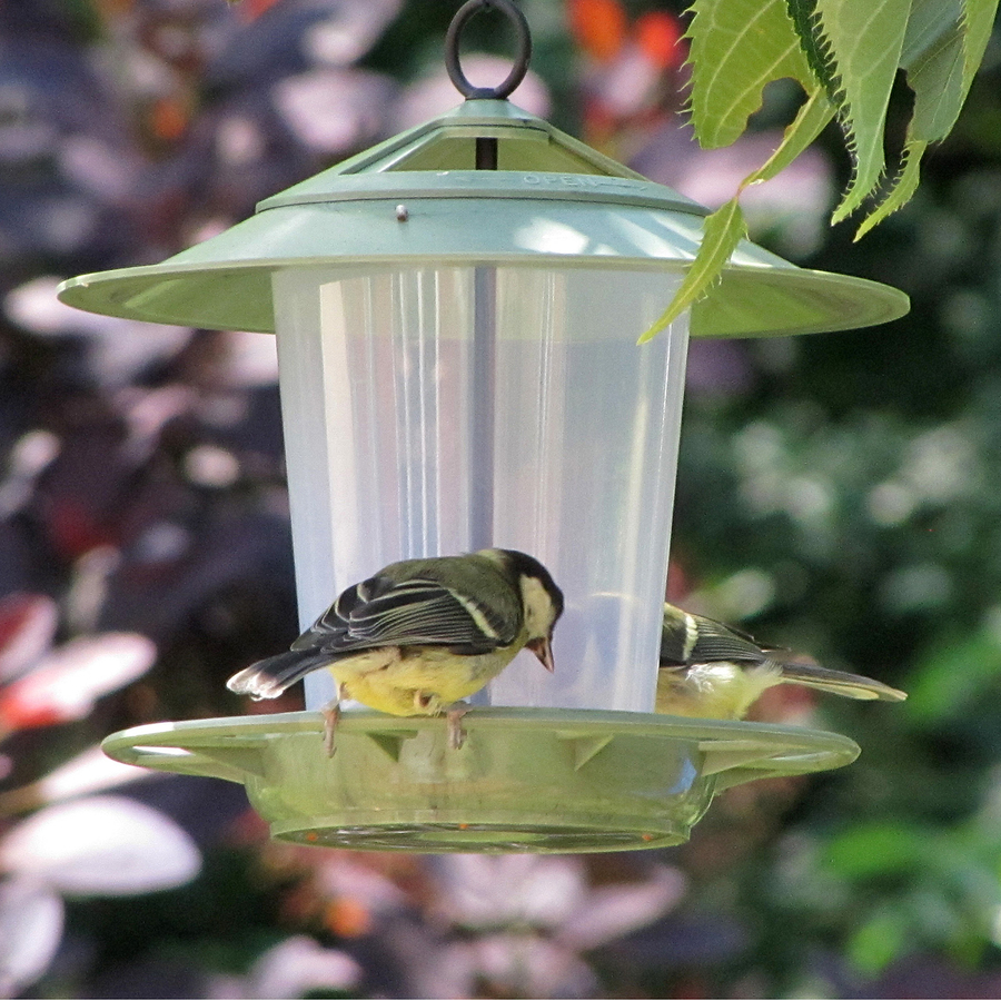 Eco Bird Feeder  hi-res