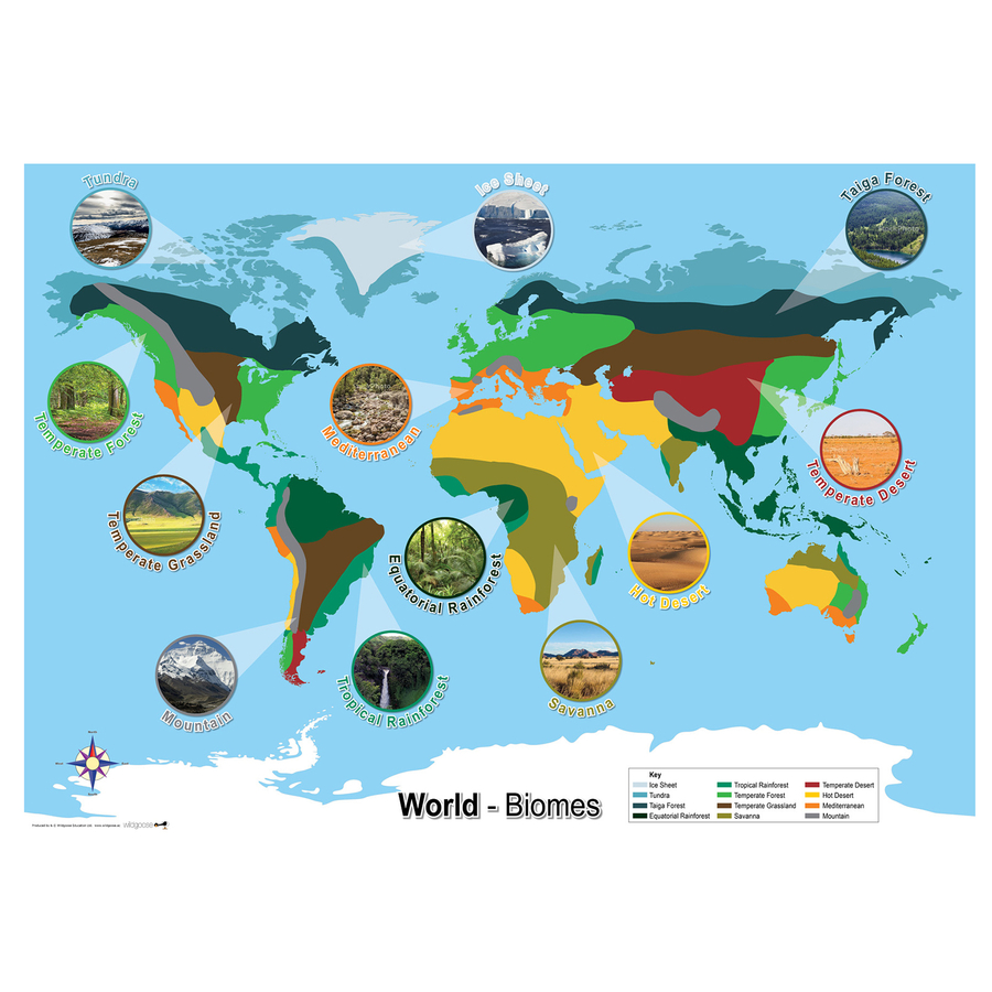 Biomes World Map A1  hi-res